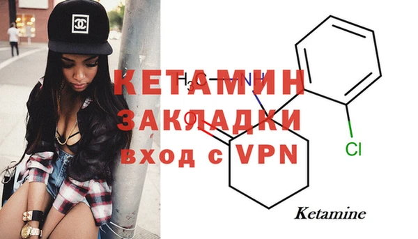 крисы Зерноград