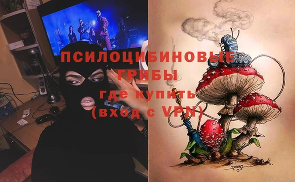 крисы Зерноград
